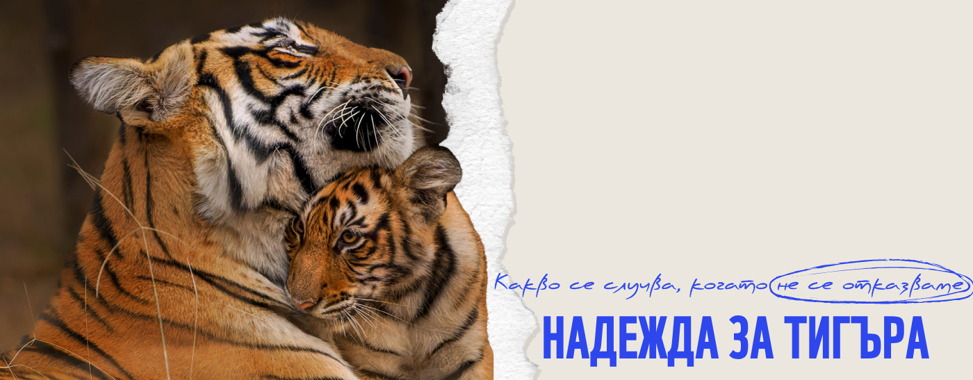 СТАНИ ЗАКРИЛНИК НА ТИГЪР
